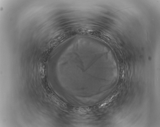 X0000088031013200706011344