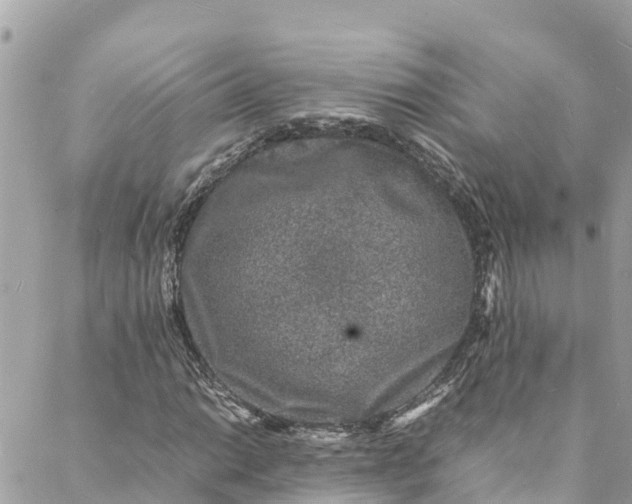 X0000088031014200706011344