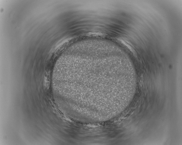 X0000088031015200706011344