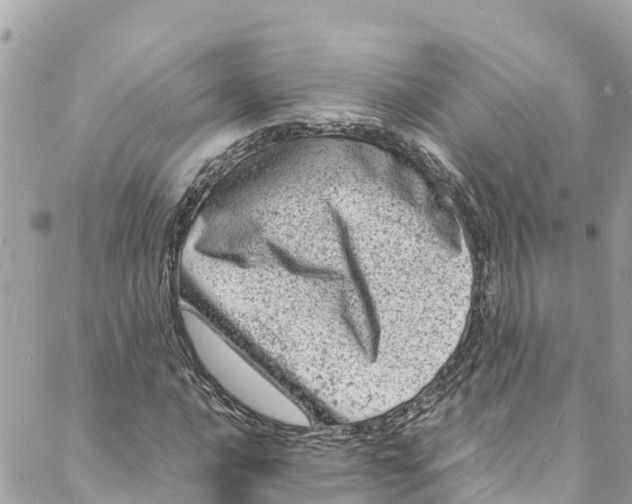 X0000088031016200706011344