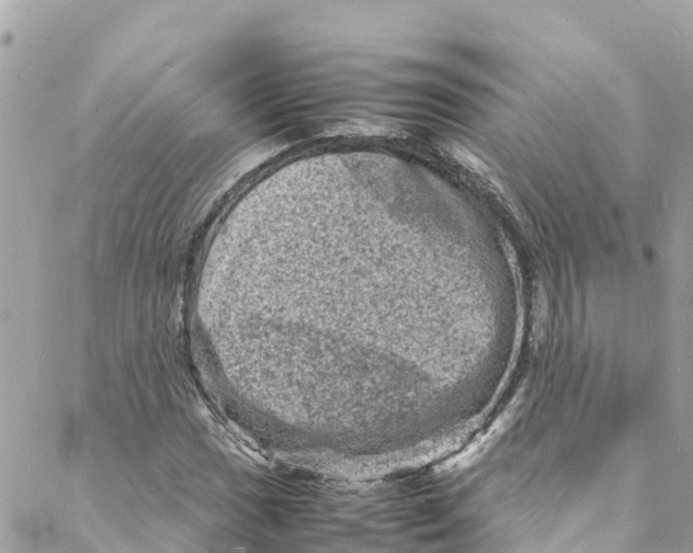 X0000088031017200706011344