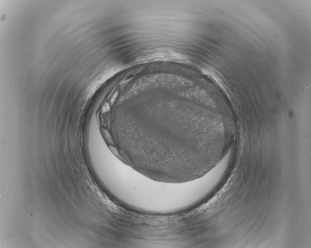 X0000088031018200706011344