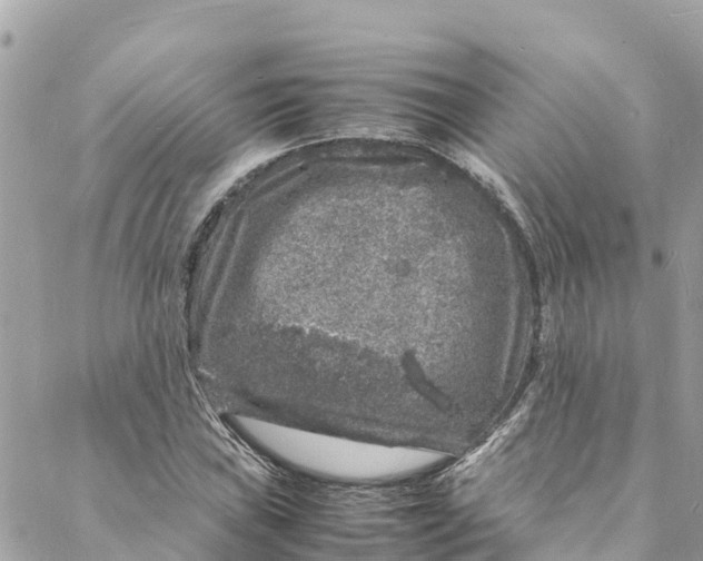 X0000088031019200706011344