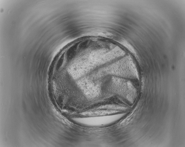 X0000088031020200706011344