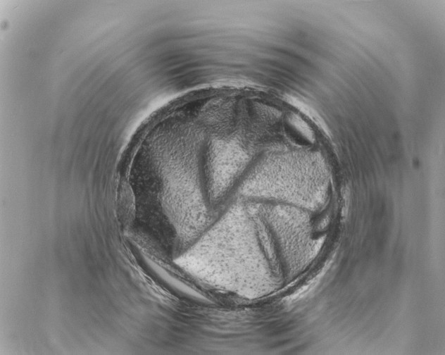 X0000088031021200706011344