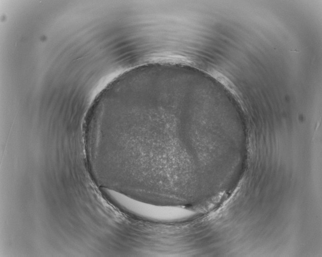 X0000088031022200706011344