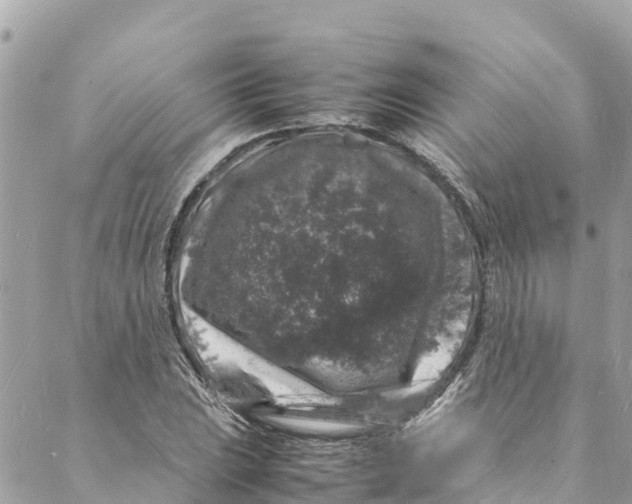 X0000088031023200706011344