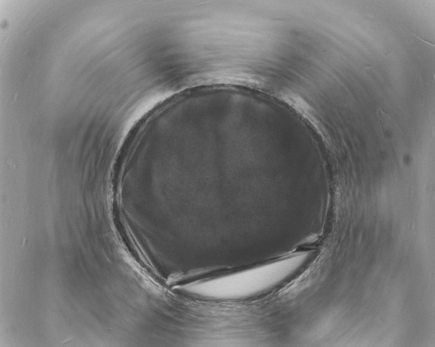 X0000088031024200706011344