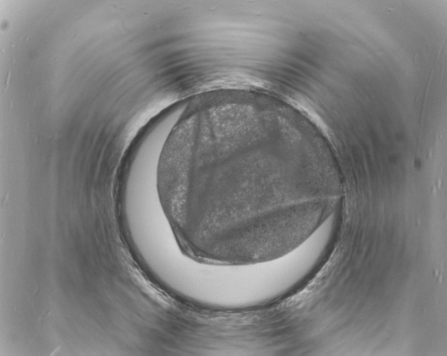 X0000088031026200706011344