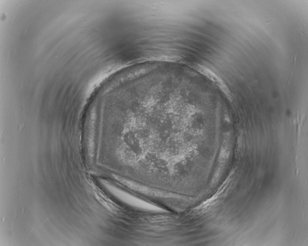 X0000088031027200706011344