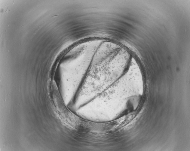 X0000088031029200706011344