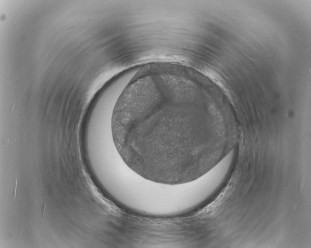 X0000088031030200706011344