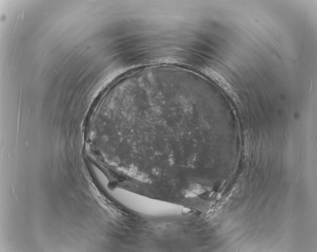 X0000088031031200706011344