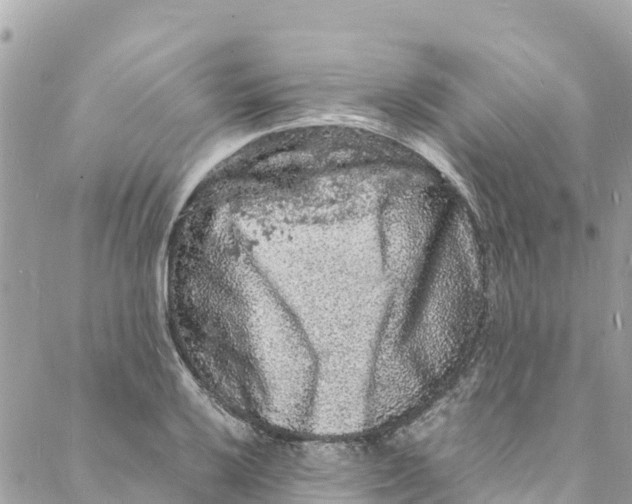 X0000088031032200706011344