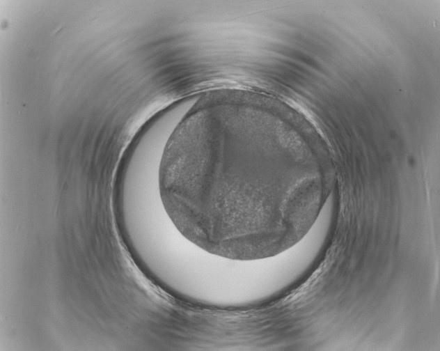 X0000088031034200706011344