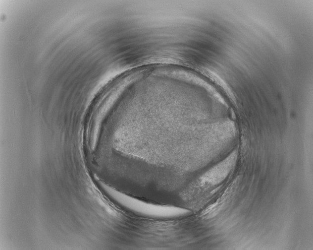 X0000088031035200706011344