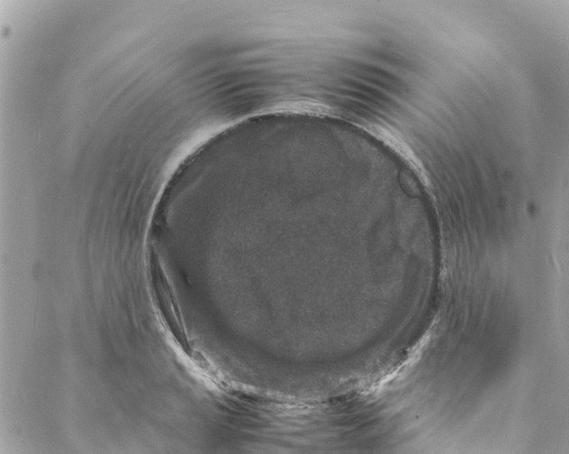 X0000088031037200706011344