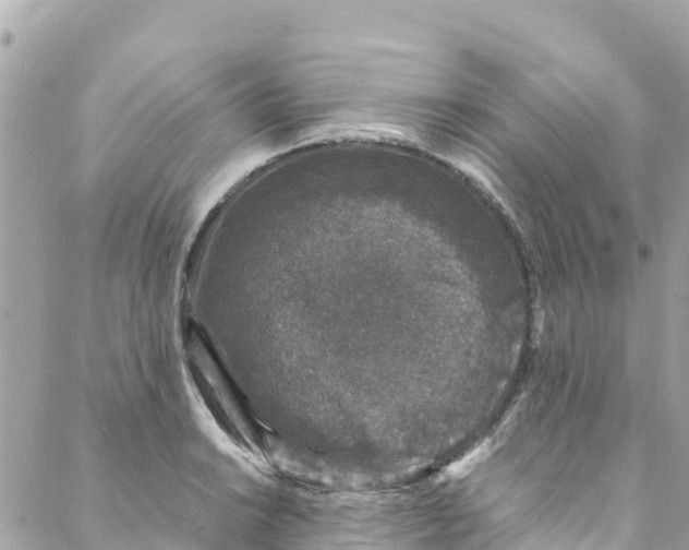 X0000088031038200706011344