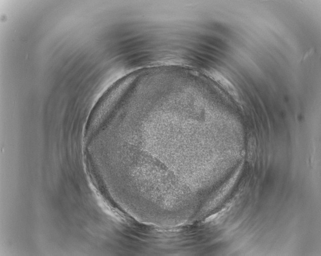 X0000088031039200706011344