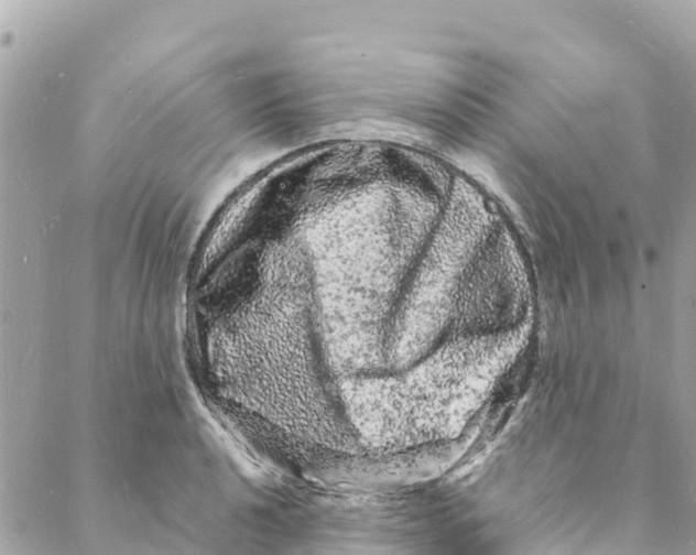 X0000088031040200706011344