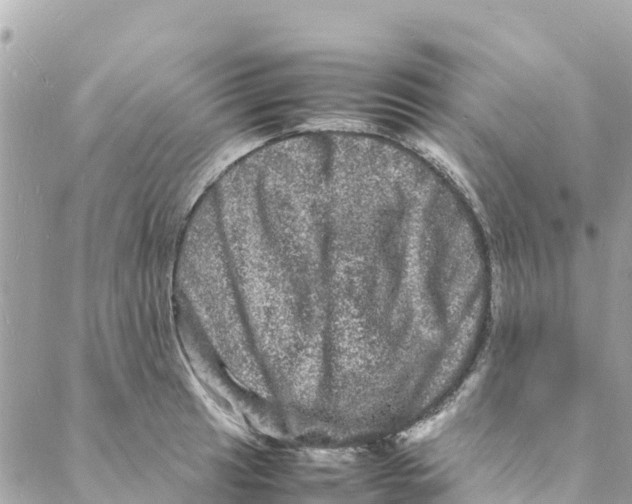 X0000088031041200706011344