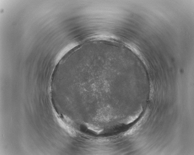 X0000088031042200706011344