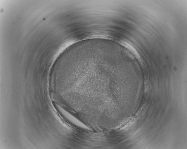 X0000088031043200706011344