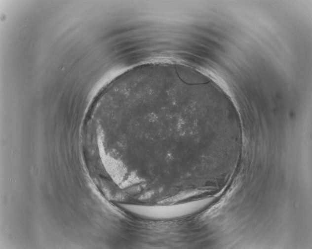 X0000088031045200706011344