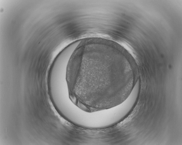 X0000088031046200706011344