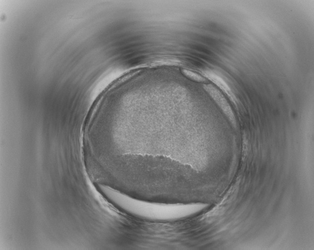 X0000088031047200706011345