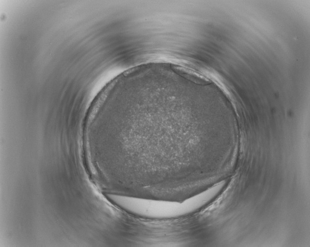 X0000088031048200706011345