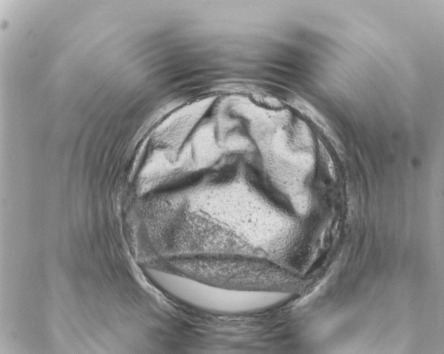 X0000088031049200706011345