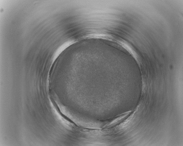 X0000088031050200706011345