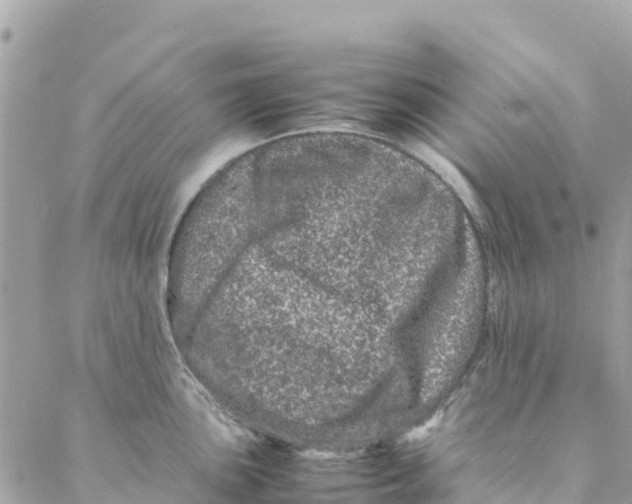 X0000088031051200706011345