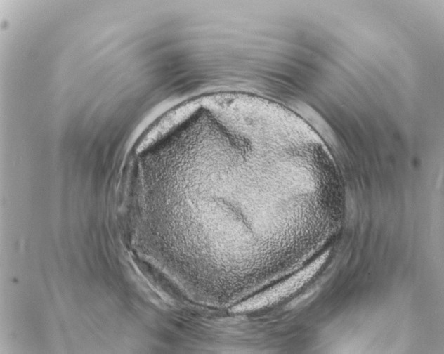 X0000088031052200706011345