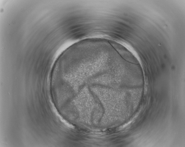 X0000088031053200706011345