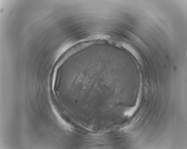 X0000088031055200706011345