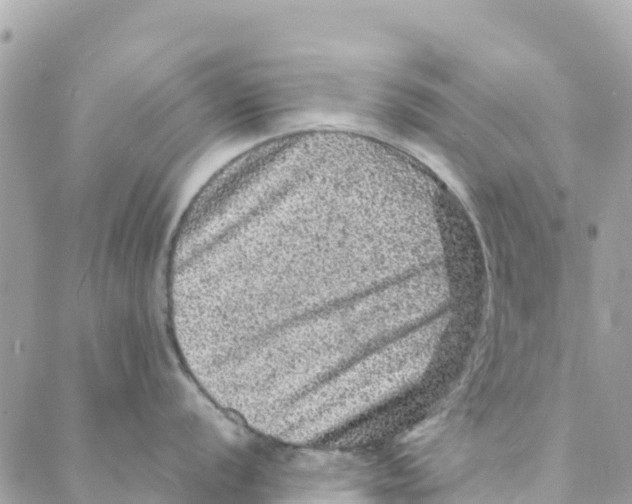 X0000088031056200706011345