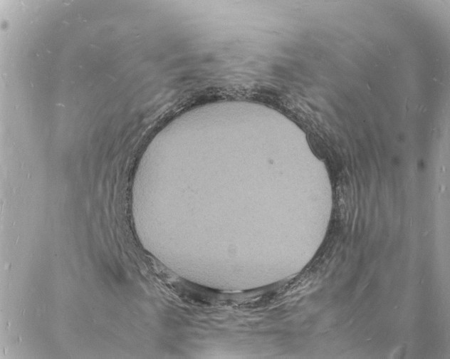 X0000088031057200706011344