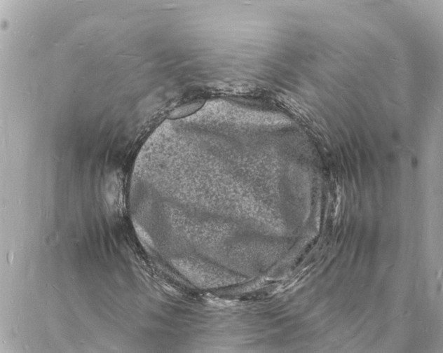 X0000088031058200706011344