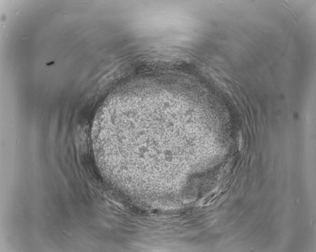 X0000088031059200706011344