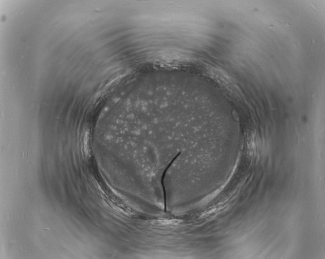 X0000088031060200706011344