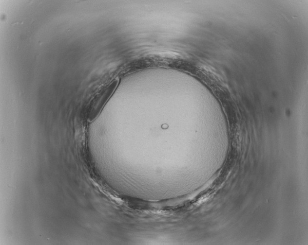 X0000088031061200706011344