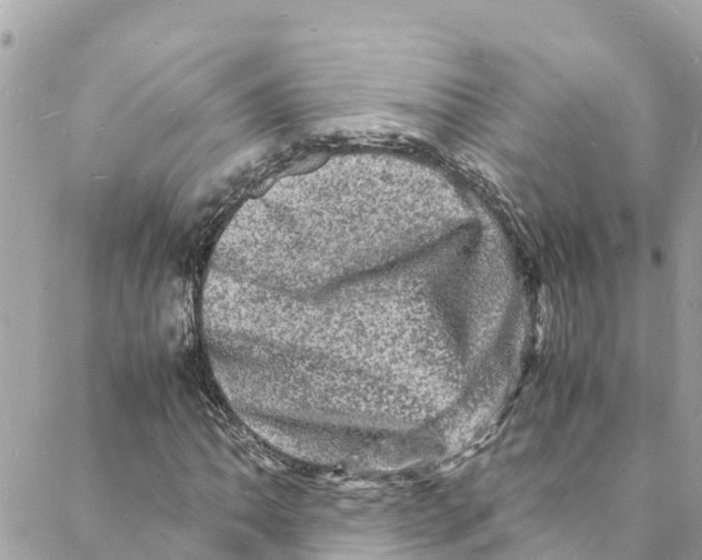 X0000088031062200706011344