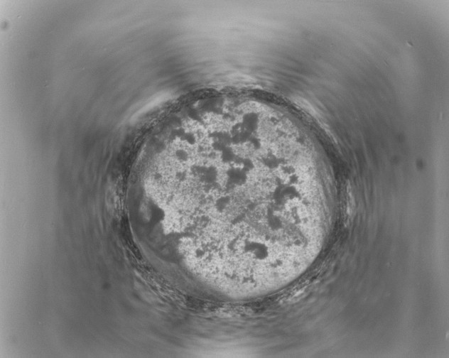 X0000088031063200706011344