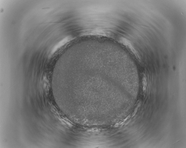 X0000088031064200706011344