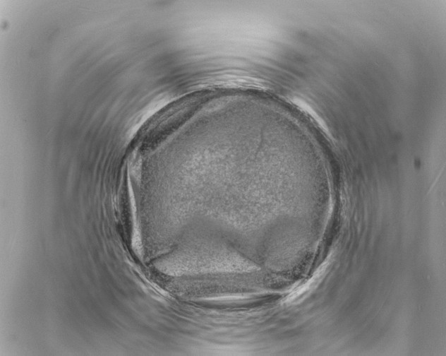 X0000088031065200706011344