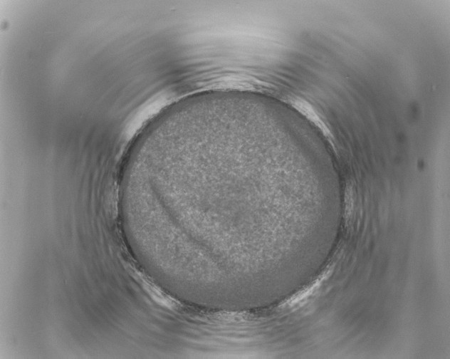 X0000088031067200706011344