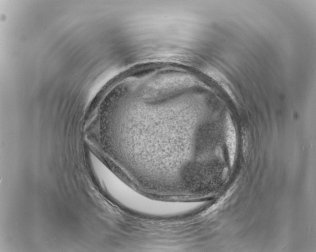 X0000088031069200706011344