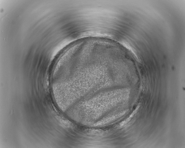 X0000088031070200706011344